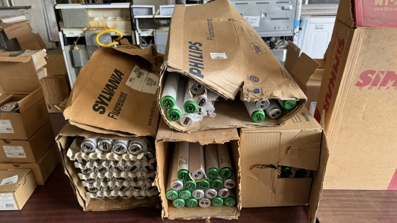 Variety of 2 Foot Fluorescent Bulbs