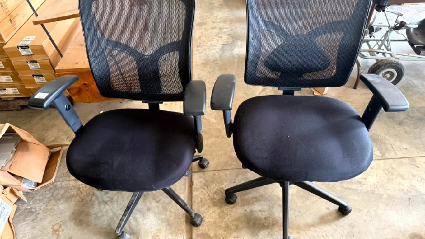 2 Desk Chairs