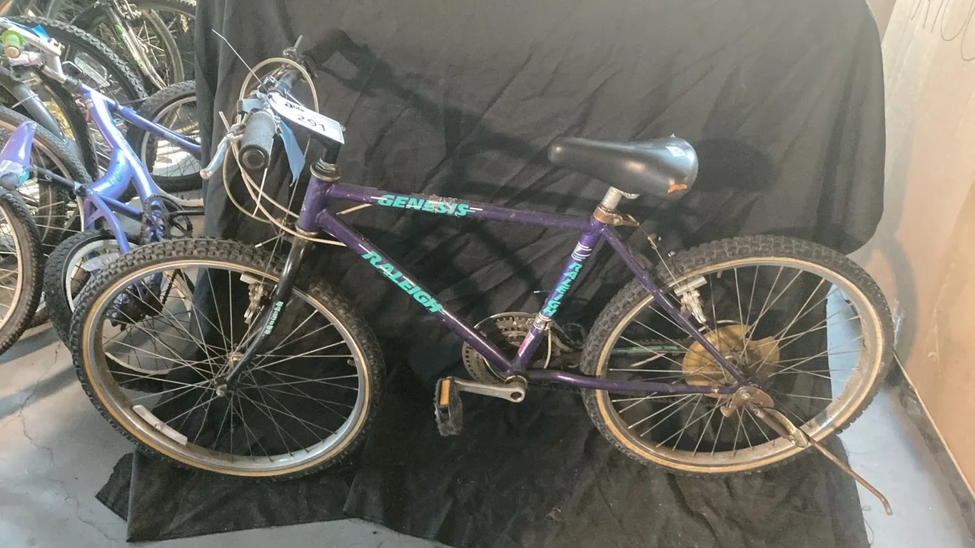 RALEIGH GENESIS 18 SPEED PURPLE MOUNTAIN BICYCLE