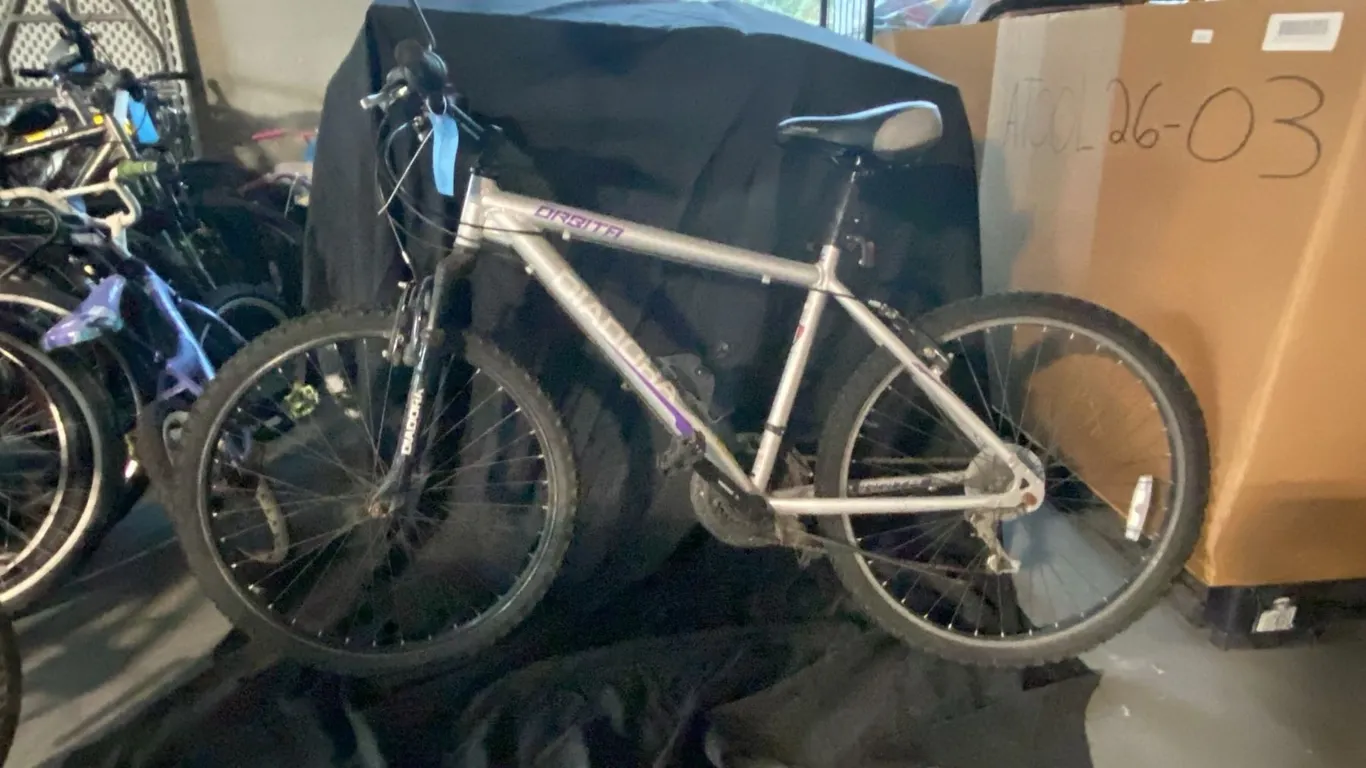 DIADORA ORBITA FEMME 18 SPEED SILVER MOUNTAIN BICYCLE