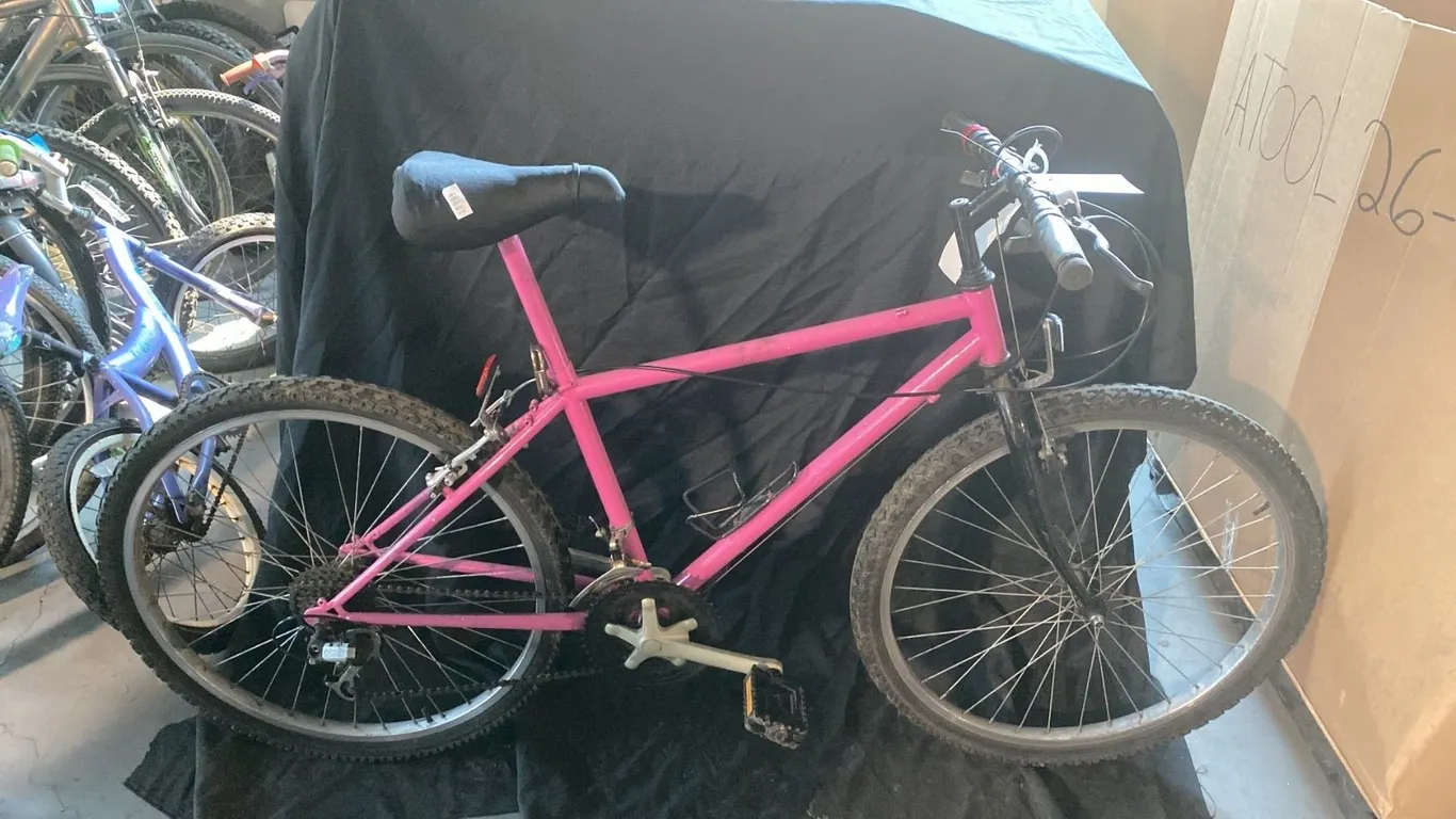 21 SPEED PINK MOUNTAIN BICYCLE