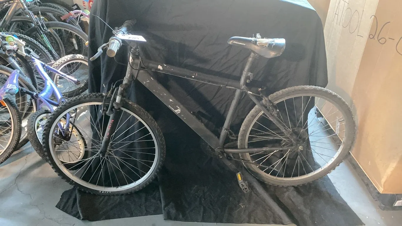 21 SPEED BLACK MOUNTAIN BICYCLE