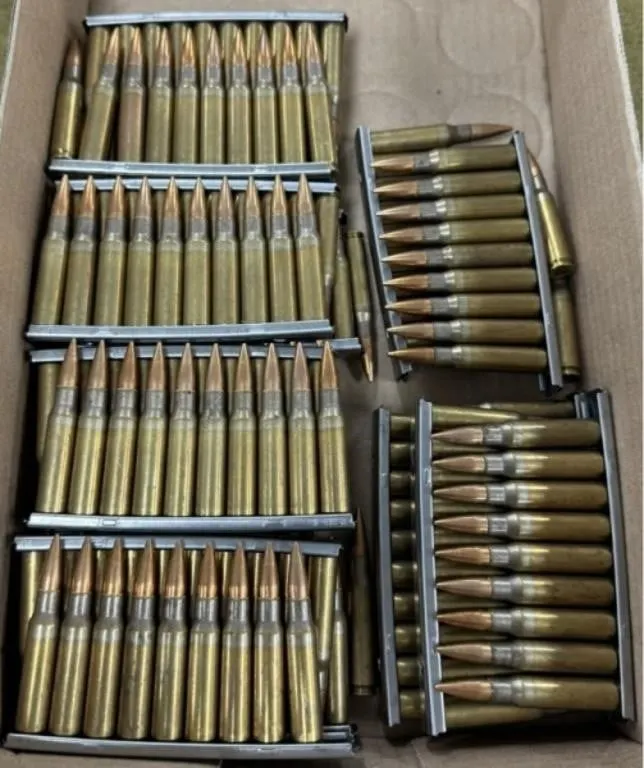 220 rnds Lake City 7.62mm Ammo