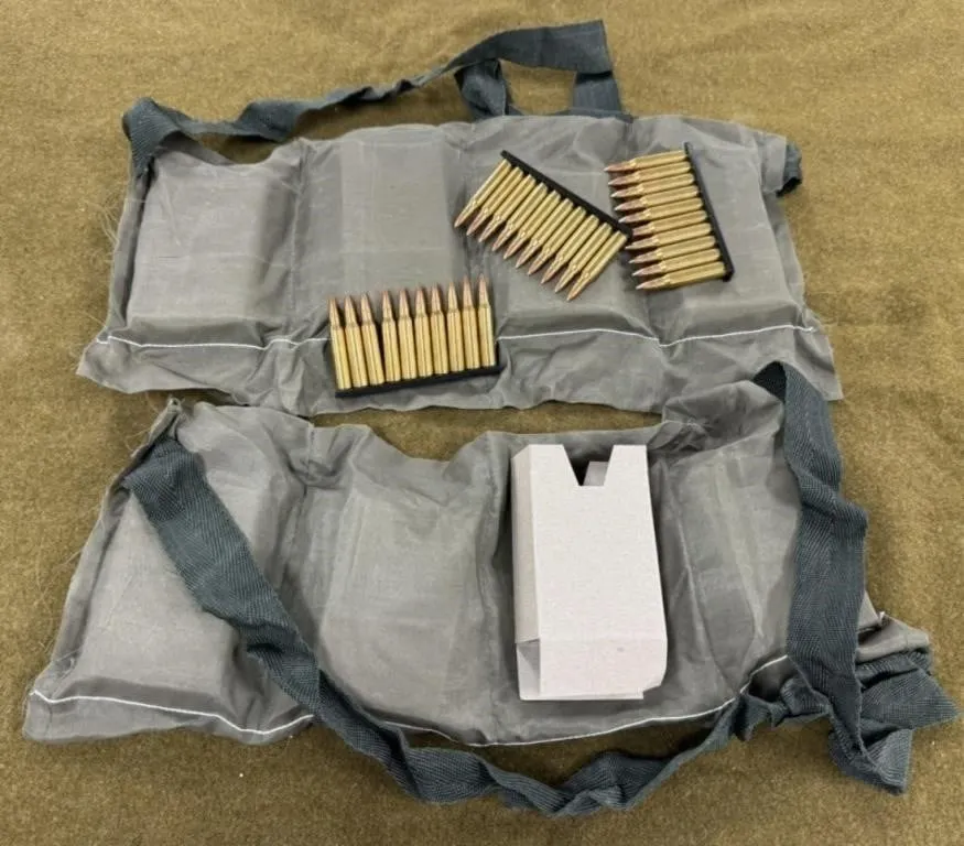 240 rnds PMC .223 Ammo