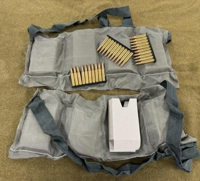 240 rnds PMC .223 Ammo