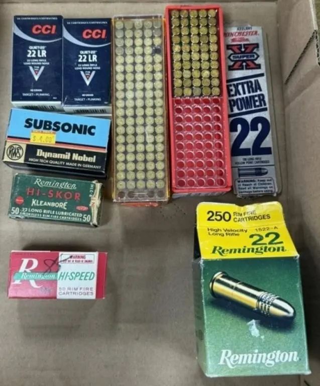 600+ rnds .22 LR Ammo