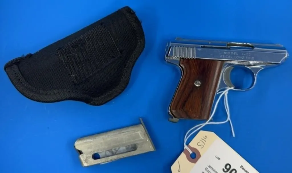 Jennings J-22 .22 LR Pistol