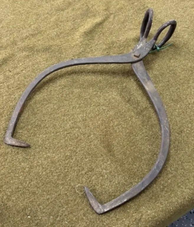 Large Set of Ice or Log Tongs