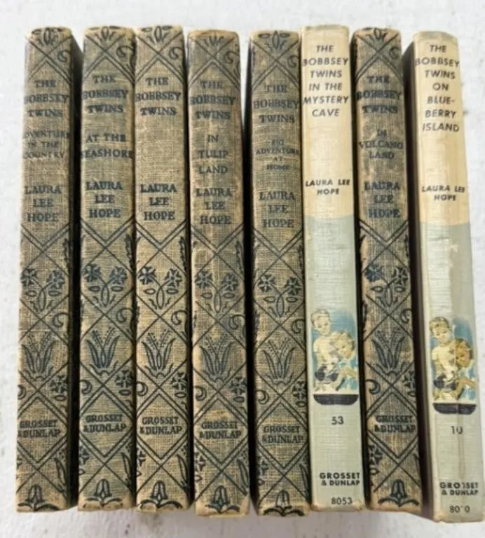 Bobbsey Twins Books