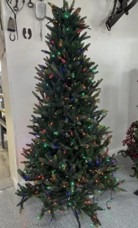 7' Pre Lit Scotch Pine Tree