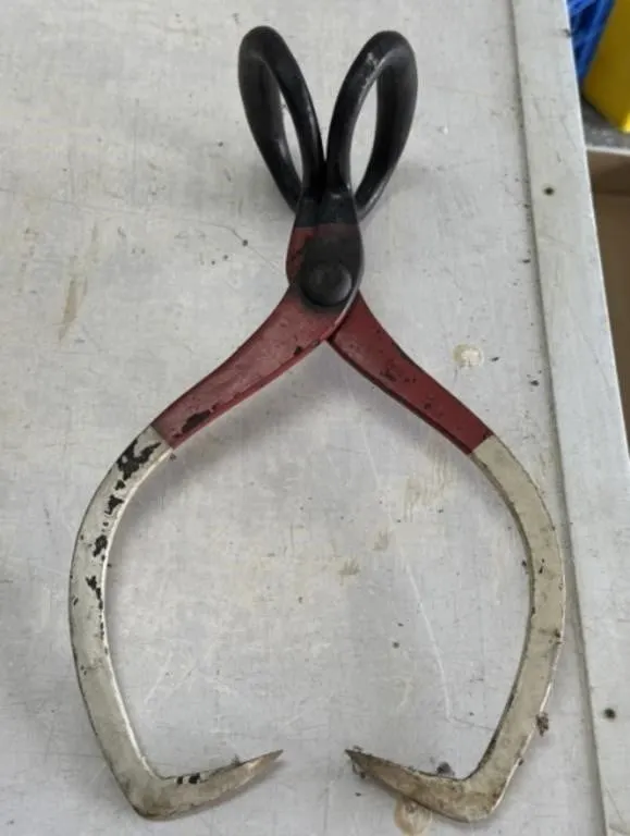 Ice Tongs