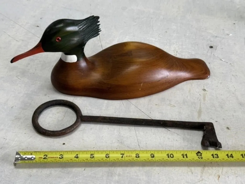 Wood Duck and Large Key