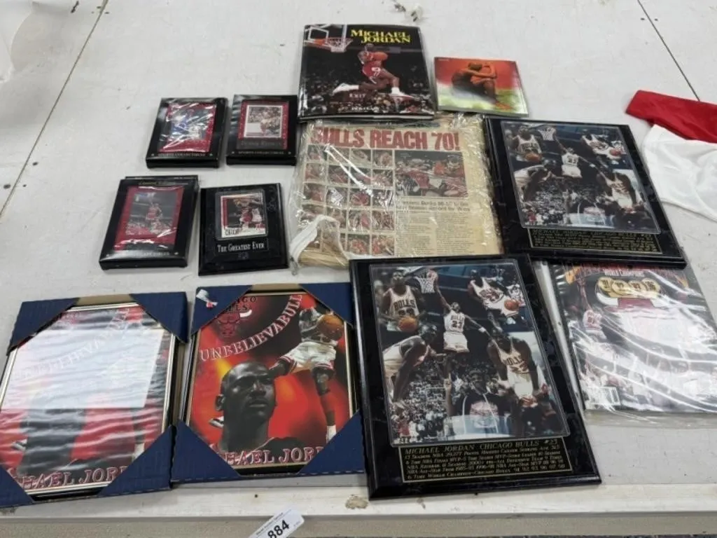 Michael Jordan, Plaques