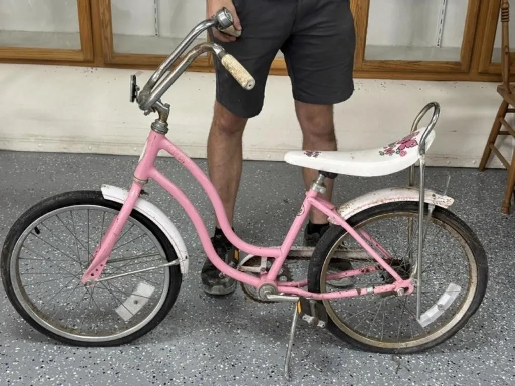 Schwinn Girls Bicycle