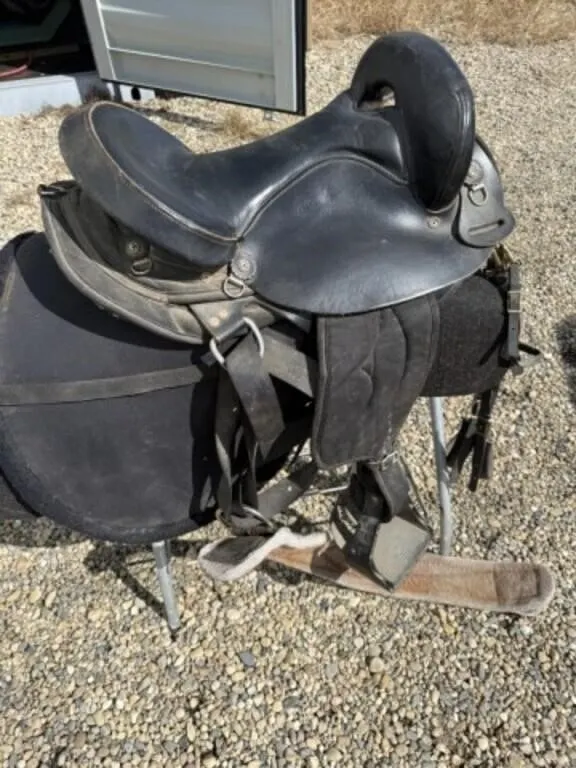 Big Horn Endurance Saddle & Saddle Pads