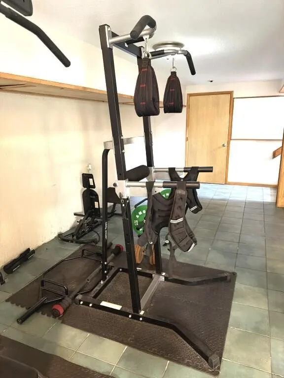 Power Tower 82" Tall
