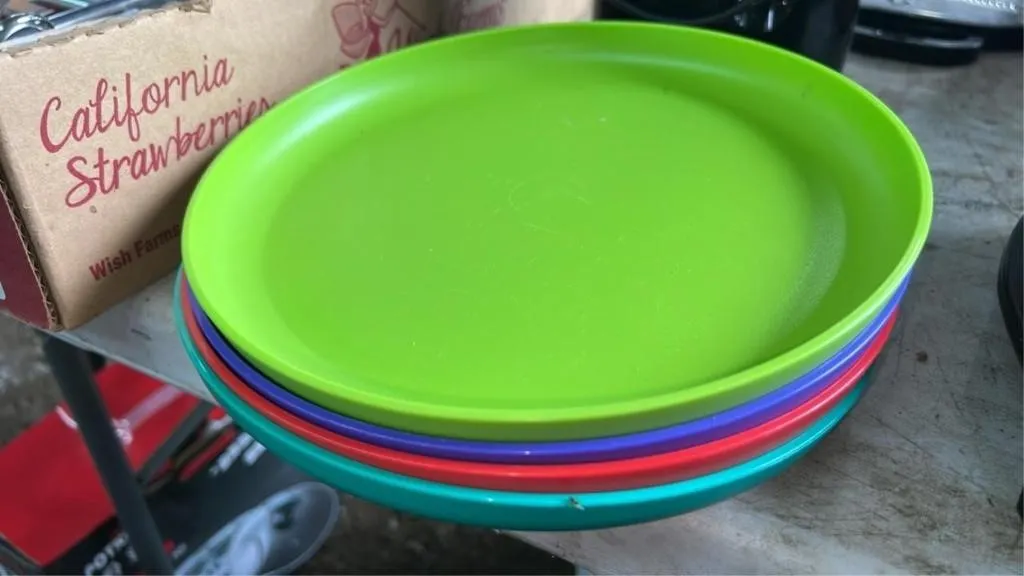 4 plastic dinner plates