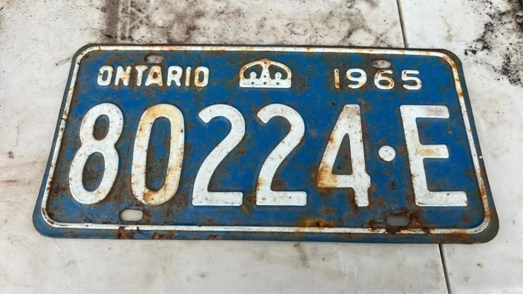 1965 license plate