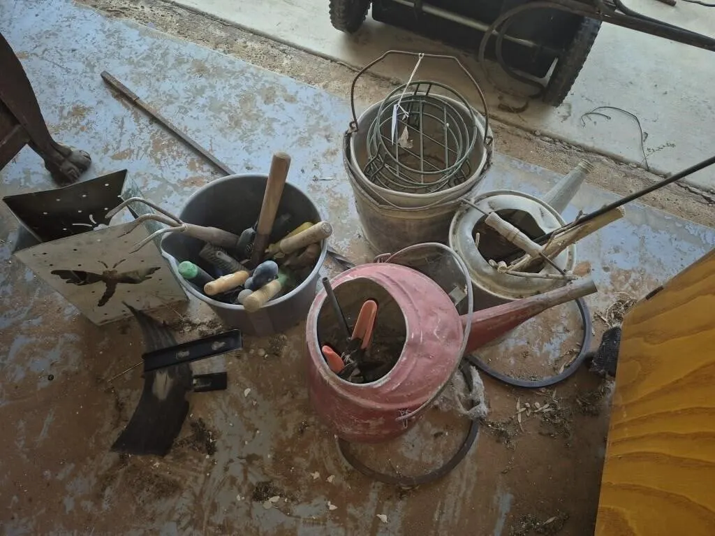 Gardening Tool Lot with Watering Cans and Buckets
