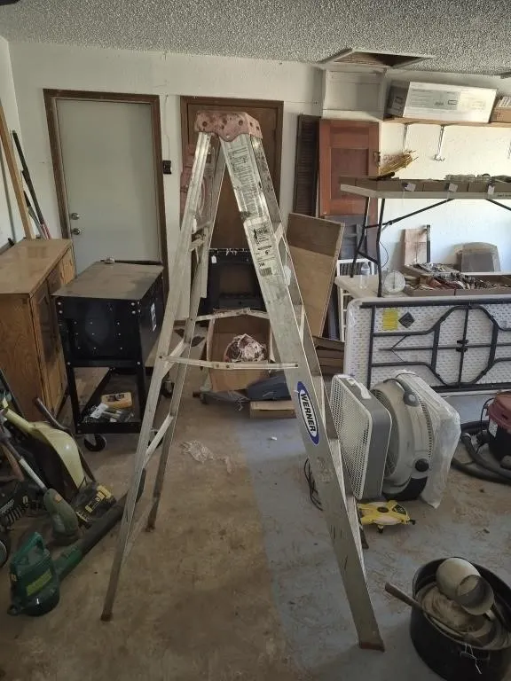 Werner 6 ft. Ladder & Step Stool