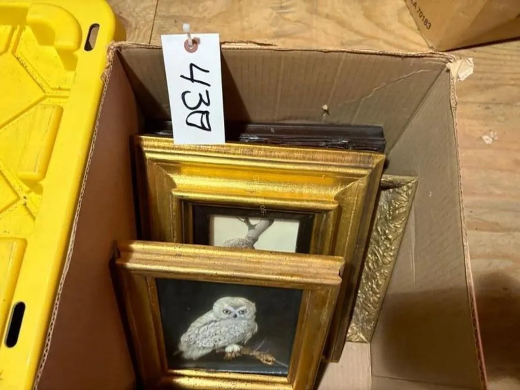 Vintage Picture Frames & Owl Shadow Boxes