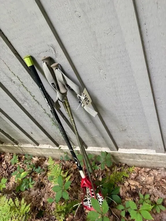 4-Karat Ski Sticks & Lacrosse Net?