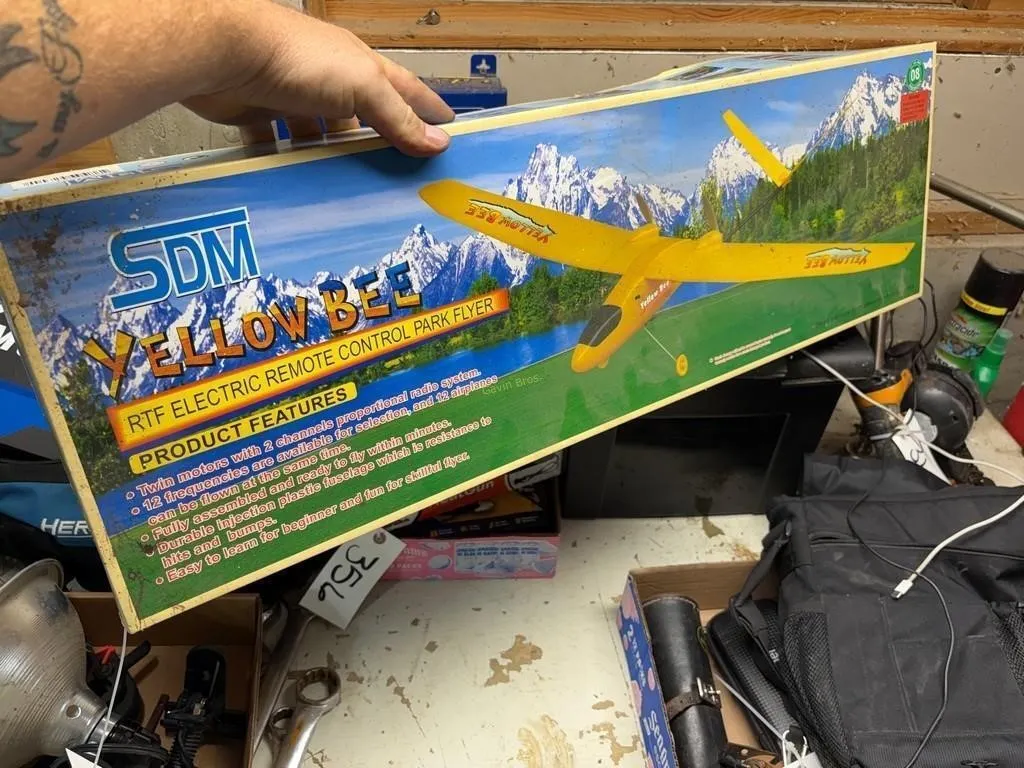 SDM Yellow Bee RTF RC Plane