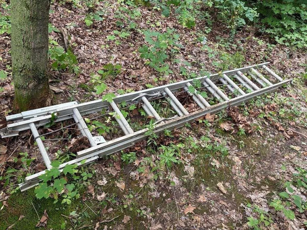 20' Extension Ladder