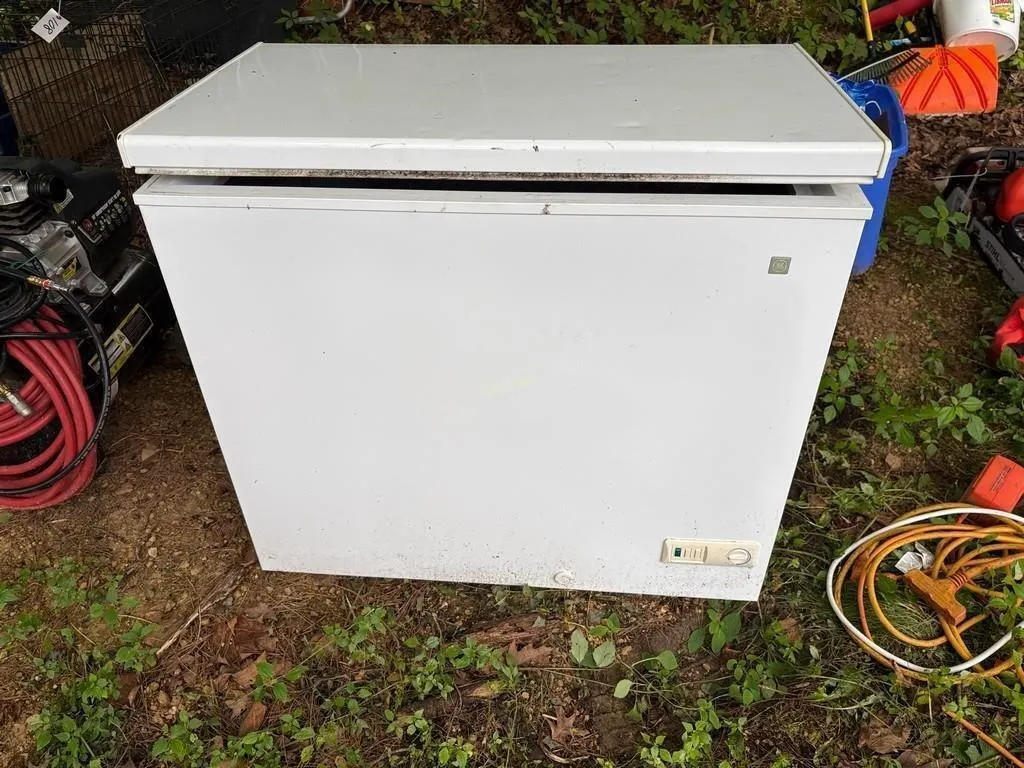 GE Freezer