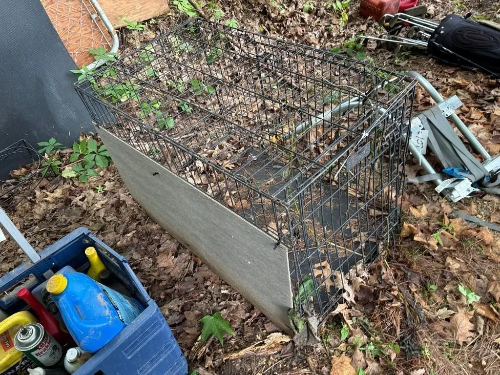 Dog Kennel