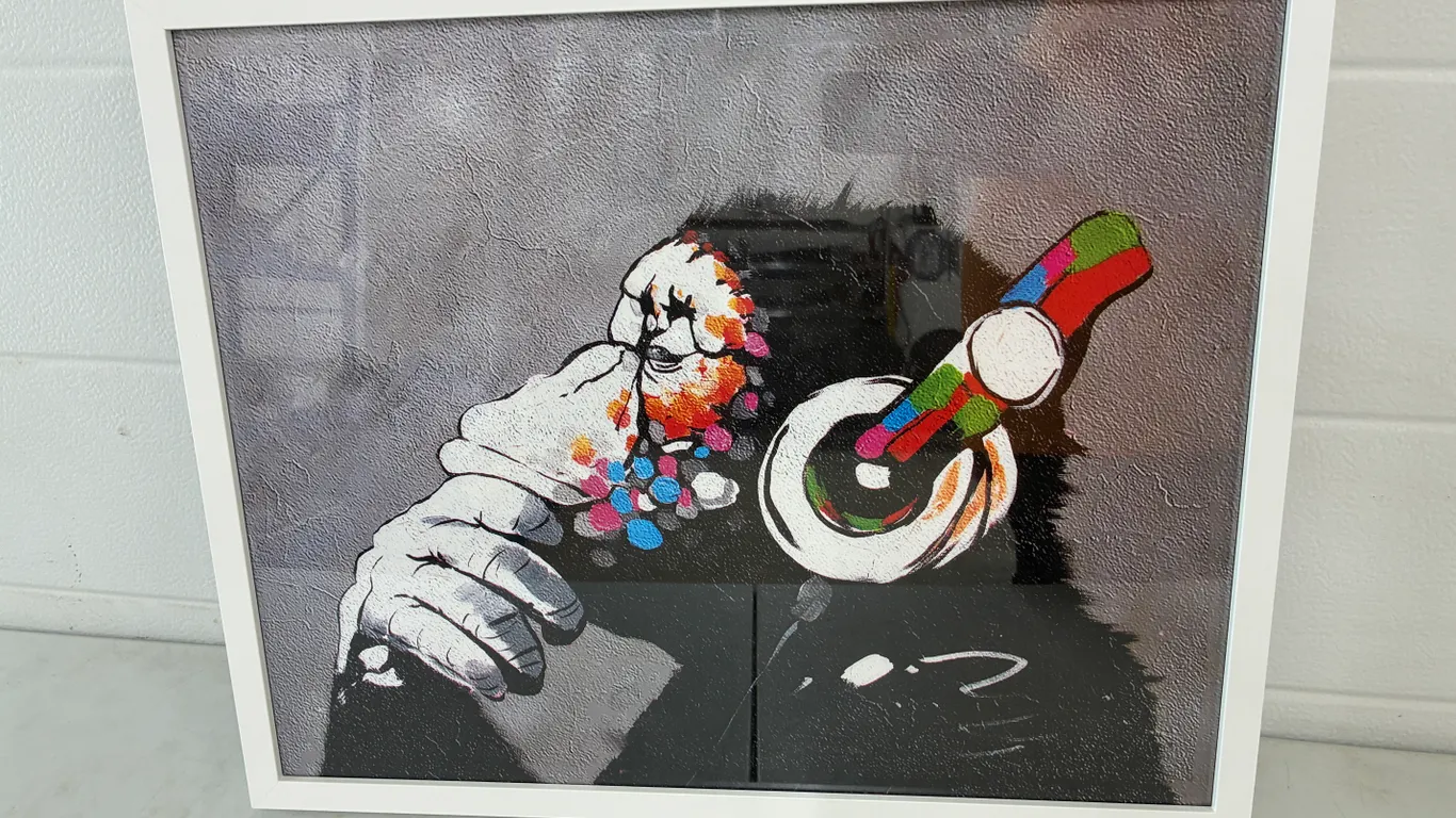 Monkey Picture 21" X 17"