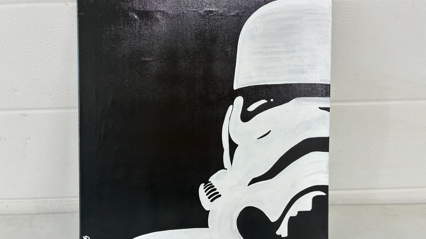Storm Trooper Pictures 15.5" X 15.5"