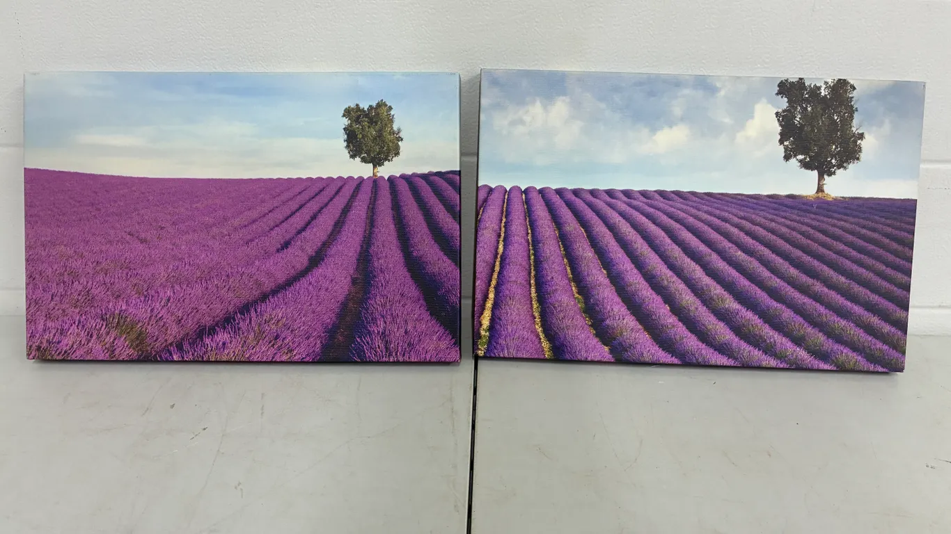 Art Picture 18" X 12"
