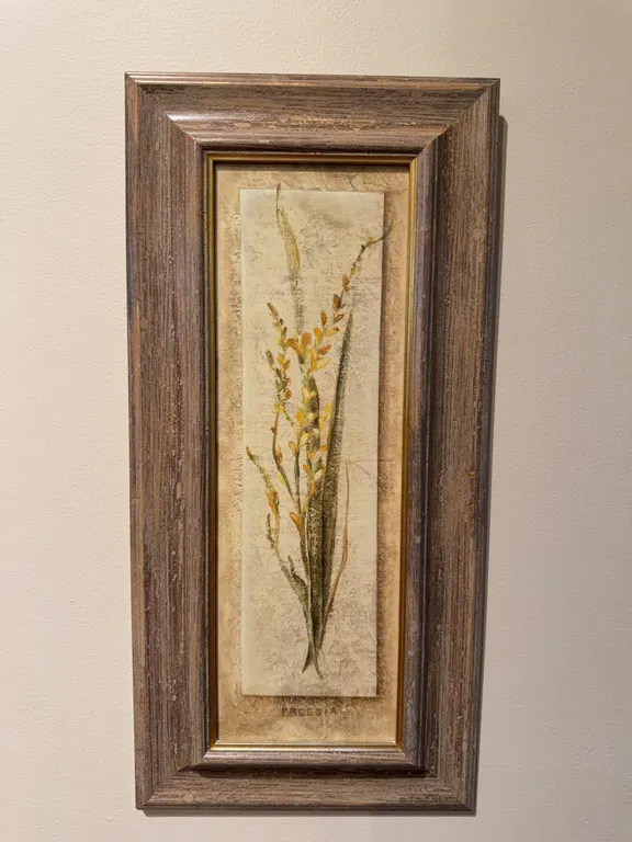 Freesia Art Print