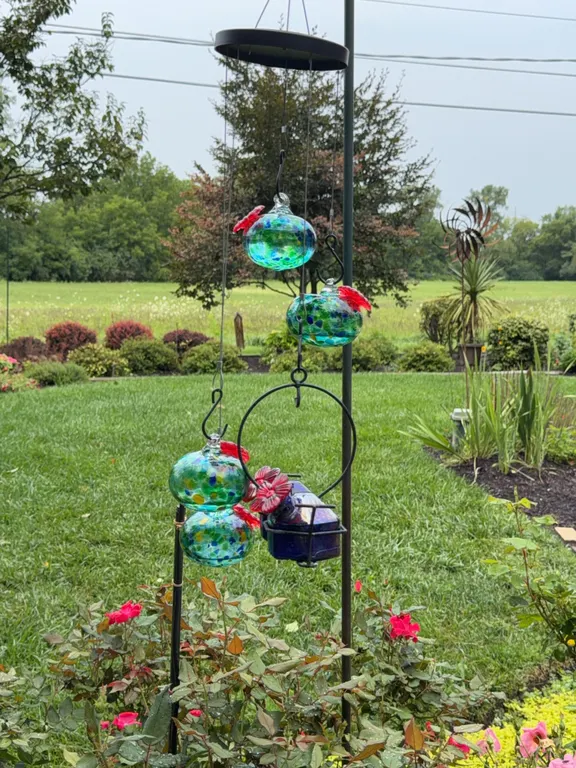 Hummingbird Feeders
