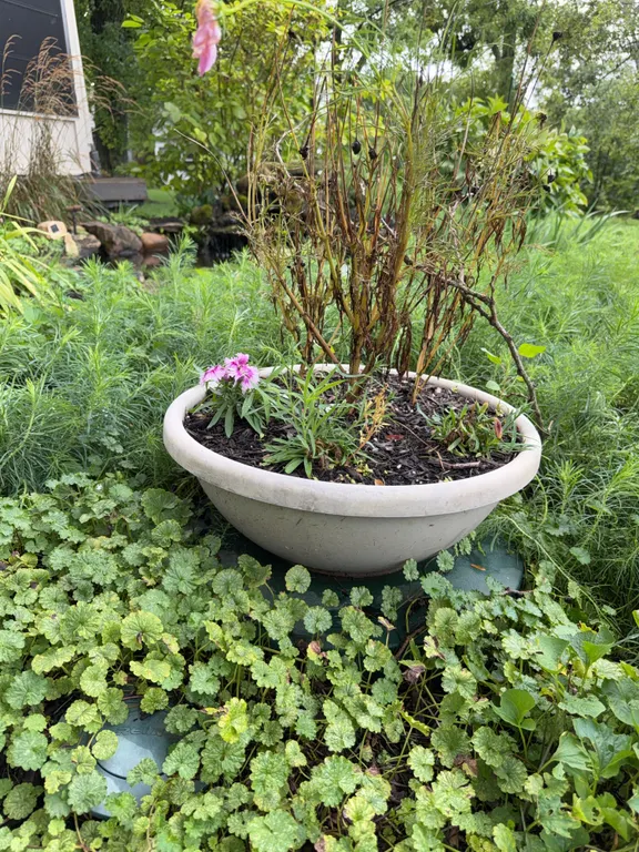 Garden Planter