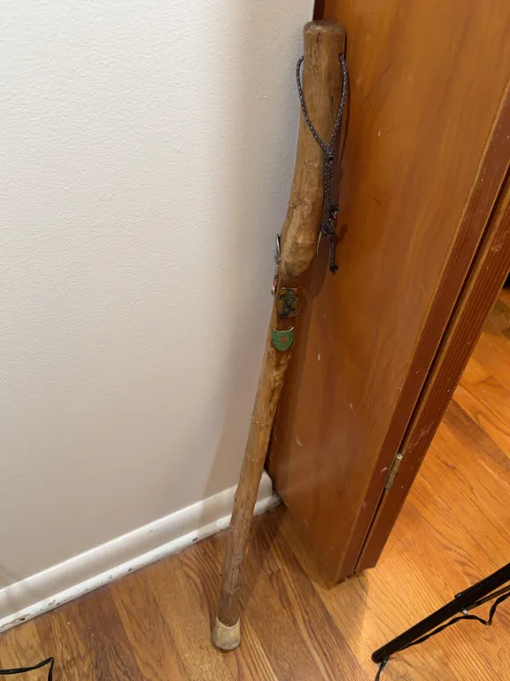 Walking Stick w/Medallions