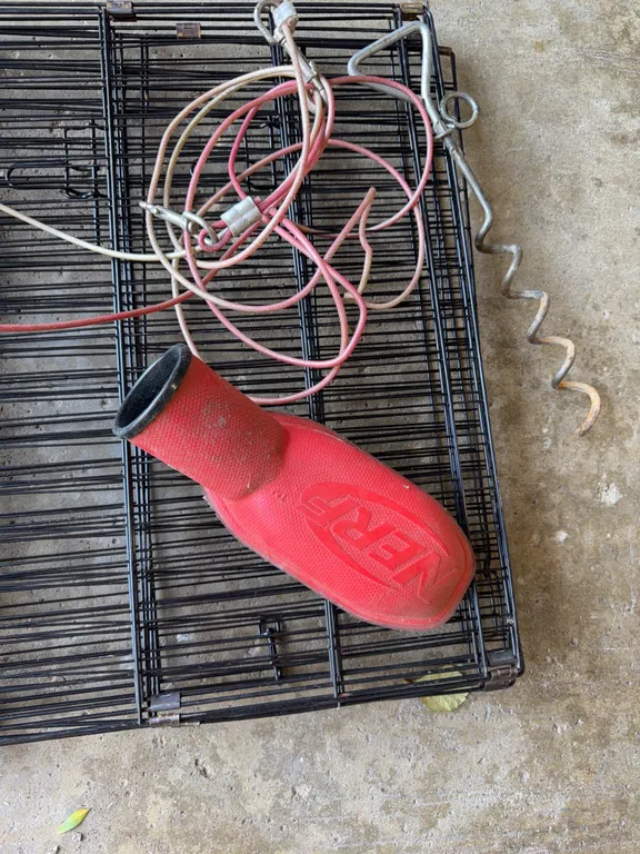 Dog Kennel, Yard Stake & Tether