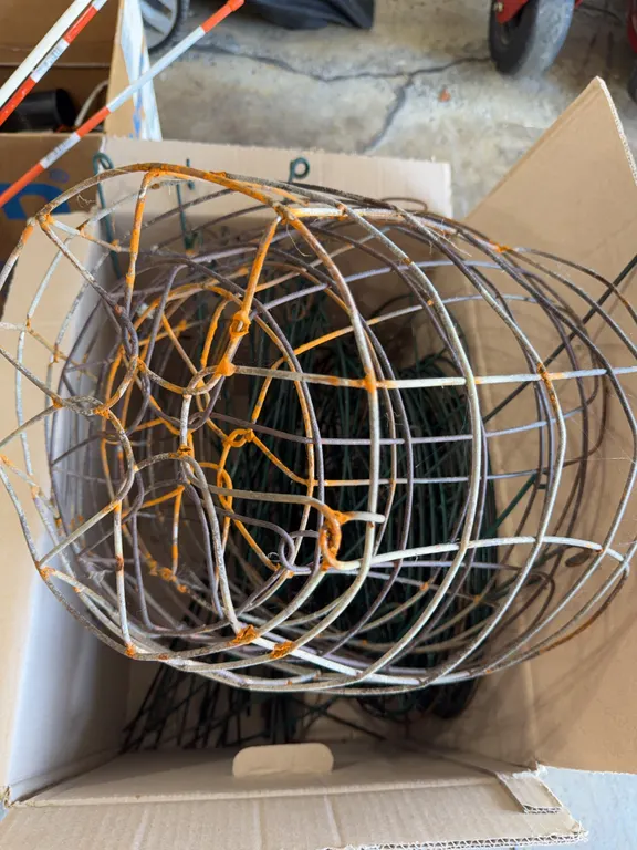 Plant Supports