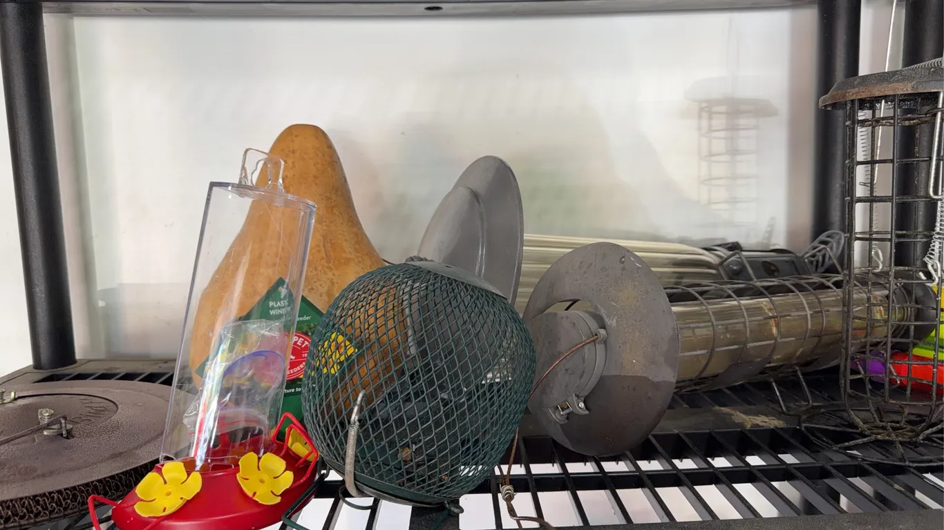 Bird Feeders