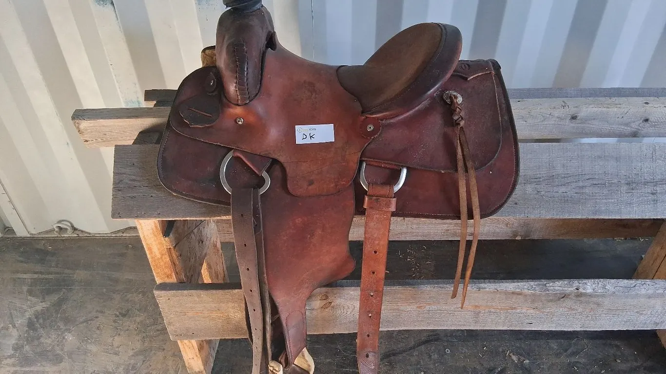13.5" Saddle