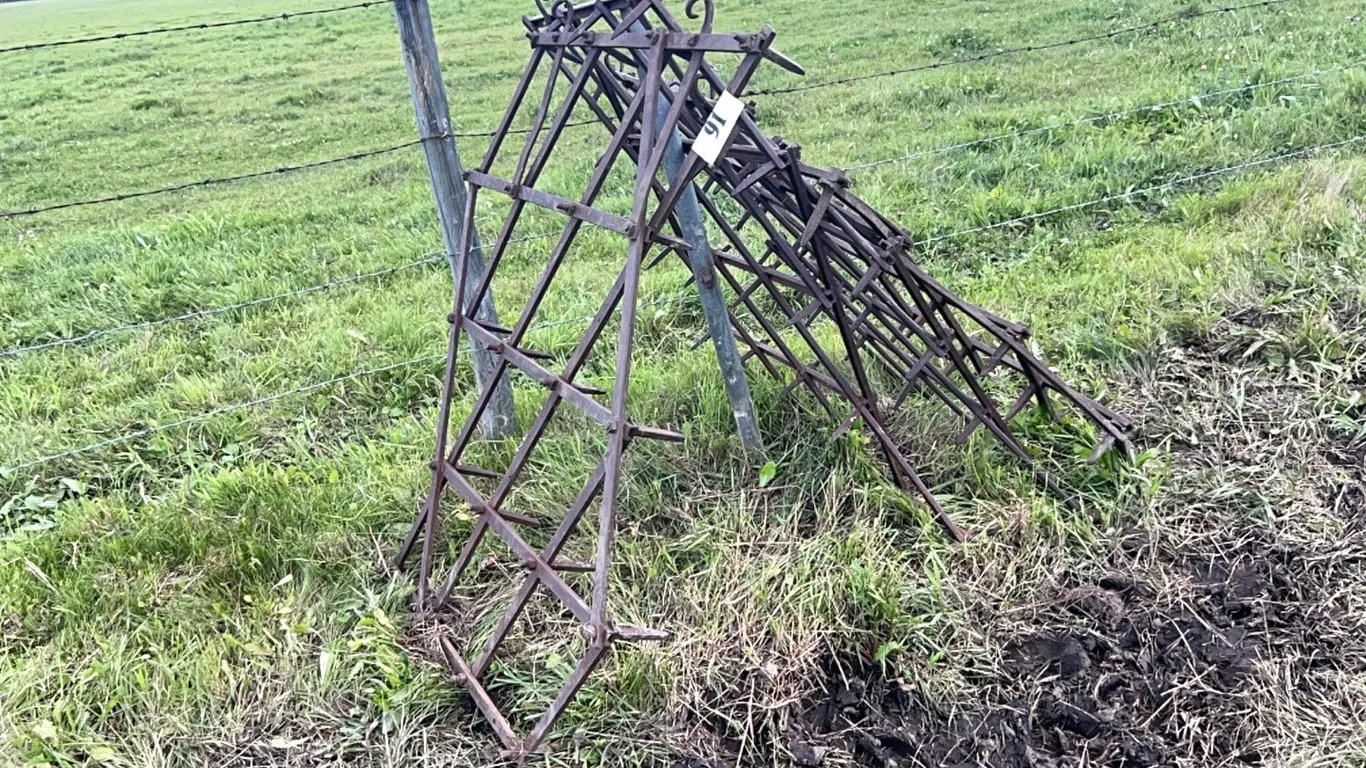 4 - SECTIONS OF 3' DIAMOND HARROWS