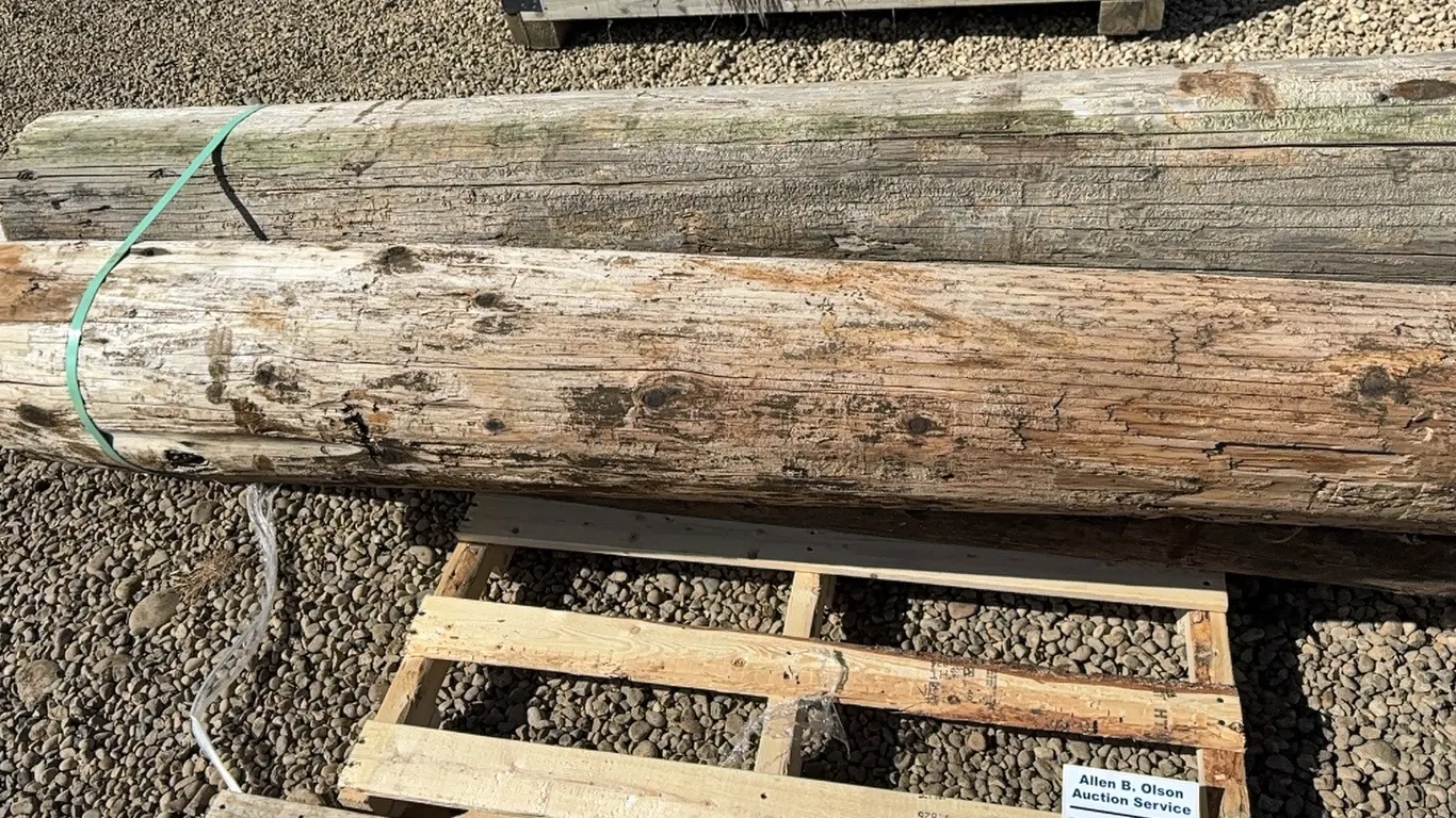 4 - ASSORTED HEAVY POSTS