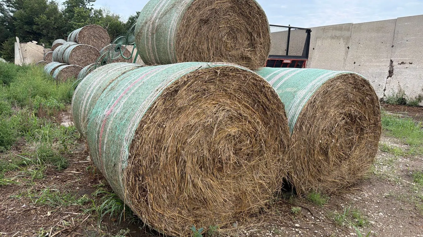 17 Grass Round Bales