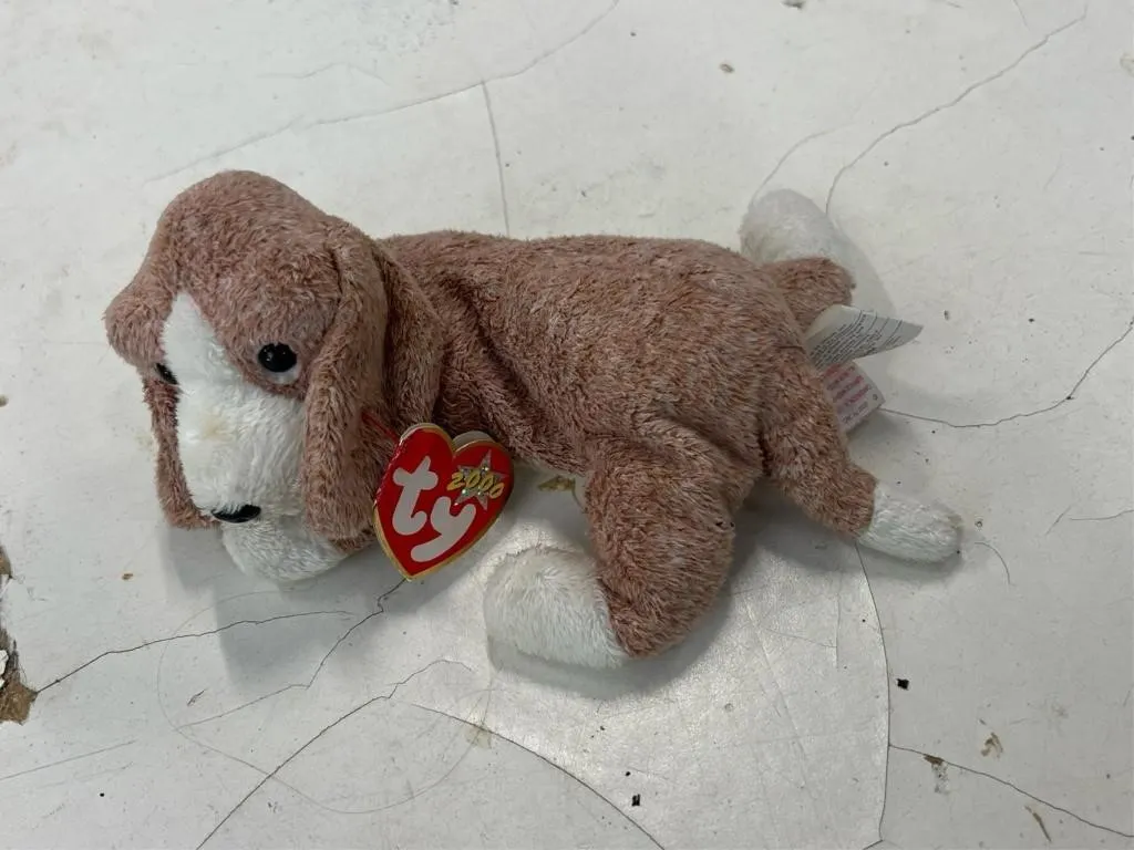 2000 Ty beanie baby - Sniffer