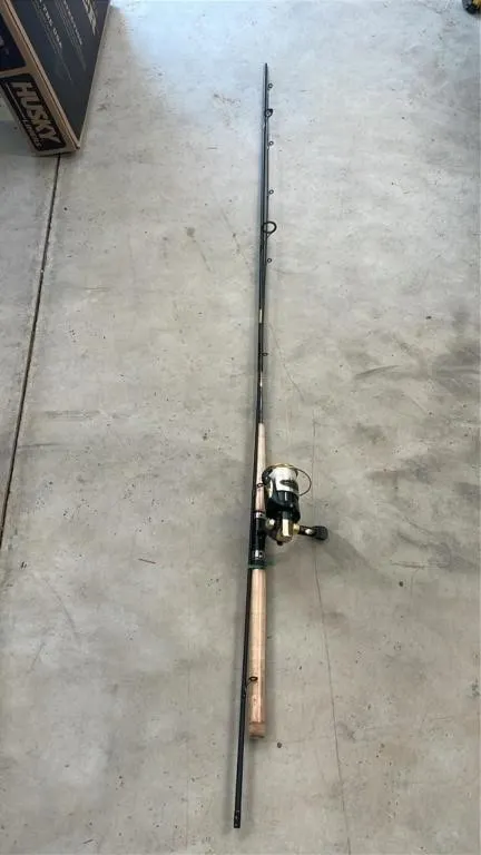 Fishing rod and reel
