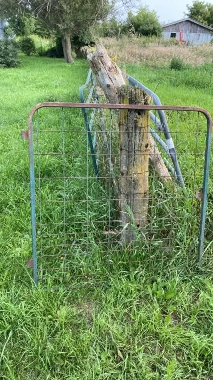 Man gate