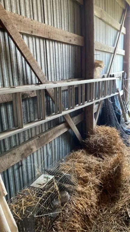 28 ft Extension ladder