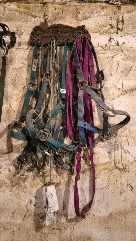 Halters