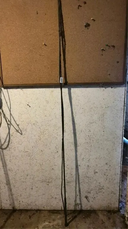 Lunge Whip